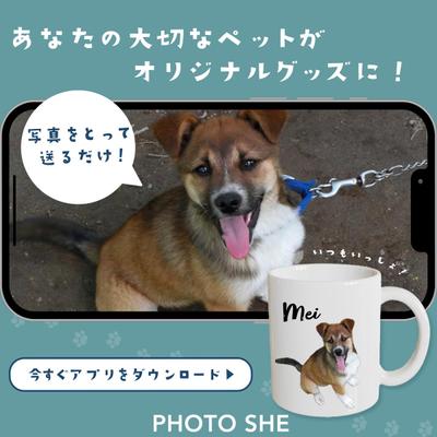 アプリのサービス訴求バナーを制作しました