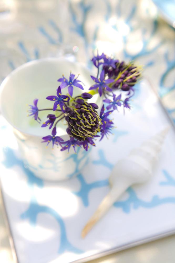 これまでのお花をまとめました
