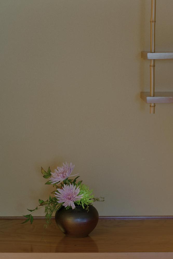 これまでのお花をまとめました