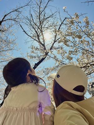 Instagram運用・投稿作成の実績紹介ました