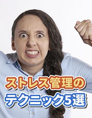 縦長ショート動画を制作しました