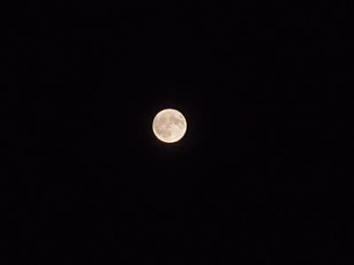 花形敬についてまとめた記事をかきました