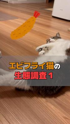 サンプル動画_ 動物ほのぼの系を作成しました