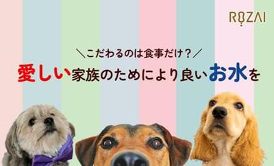 ペット用サプリメントのTVerCM・展示会用動画を作成しました