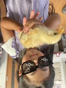 ライティングのサンプルを載せました