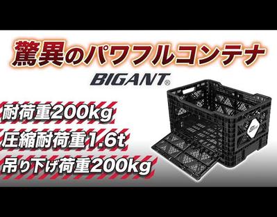 BIGANT製品紹介ました