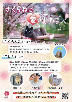 【実績掲載】どうぶつ基金様確認済｜さくらねこ啓発ポスター（A3サイズ）を制作しました