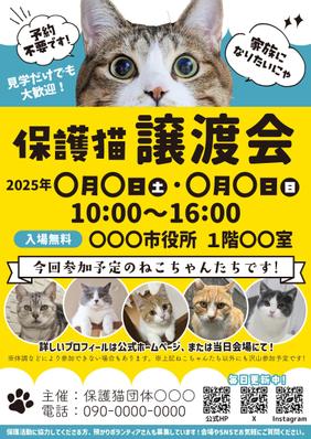 保護猫の譲渡会チラシを製作しました