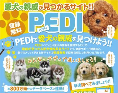 愛犬情報登録サイトのチラシ（片面）を作成しました