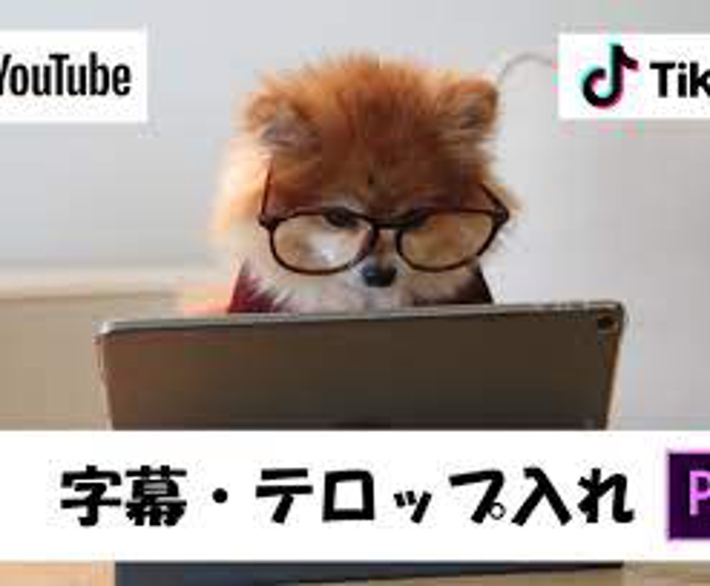 動画に日本語または英語を翻訳して字幕を直接挿入いたします
