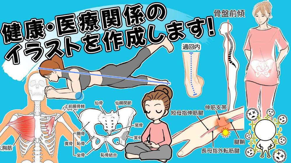 【病院・整骨院・治療院向け】身体・健康・美容・解剖学に関するイラストを作成します