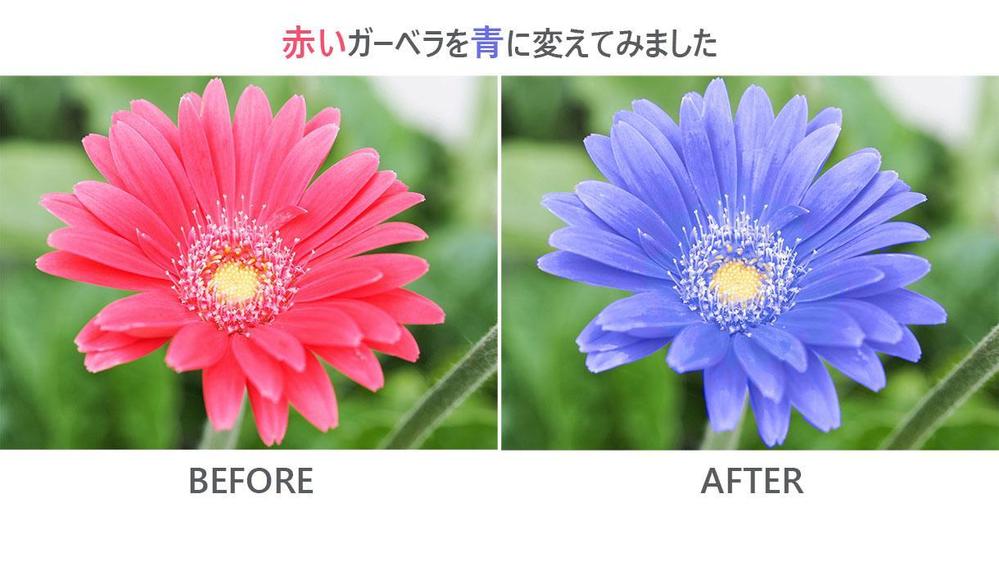 Photoshopでの画像レタッチ、ECサイト用画像、Webサイト用画像制作承ります