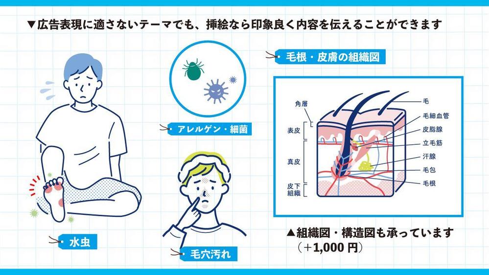 シンプルな挿絵で、内容をわかりやすく伝えるお手伝いをします