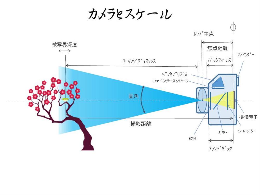 撮像・映像編集技術の基礎を自作の分かりやすい資料を使って伝えます