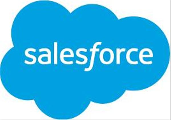 Salesforceの初期構築（項目作成〜レポート作成迄）を致します