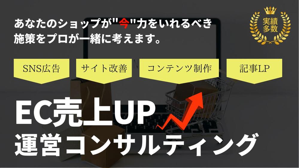 【スポットコンサル】EC売上アップのWeb集客についてなんでもご相談承ります