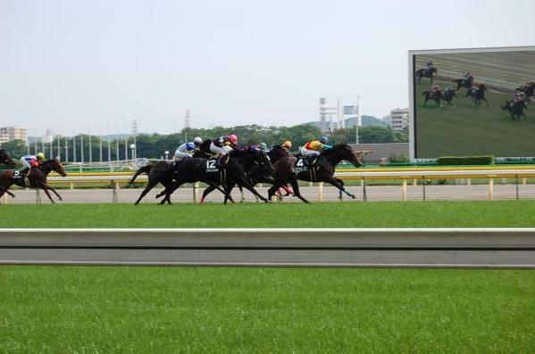 【認定ランサー】競馬歴20年以上！競馬関連の記事を執筆致します！ます