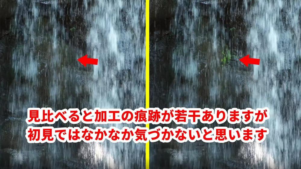 【バレ消し】動画に映りこんだ不要なもの、隠したいもの、肌のシミ等を修正します