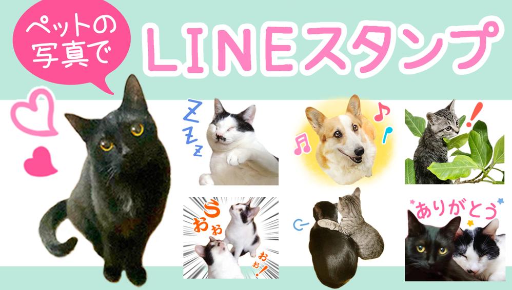 ペットのお写真で、可愛いLINEスタンプをお作りします