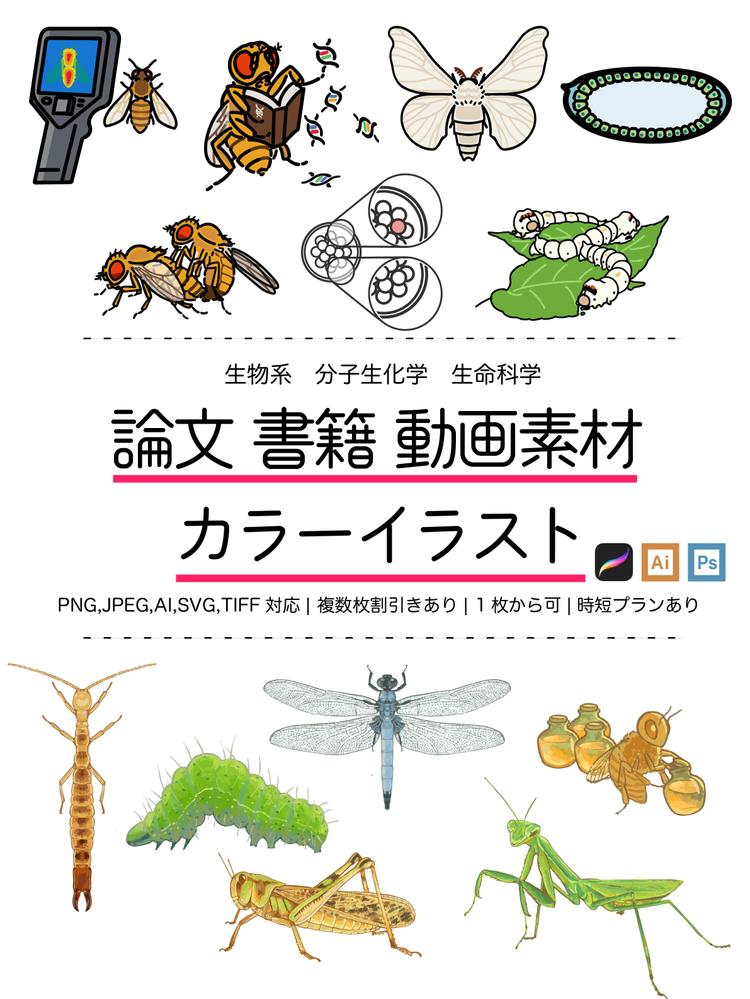 生物系の論文・オープンアクセス・教科書・動画素材用デジタルイラストを制作します