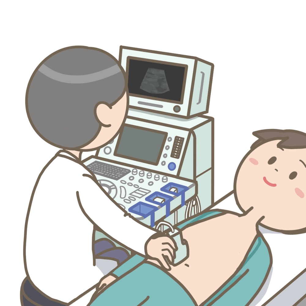 超音波検査報告書（腹部、心臓、頸動脈等）をExcelにて提供致します