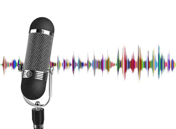 翌日納品【文字起こし】≪素起こし限定≫音声データをテキスト化します