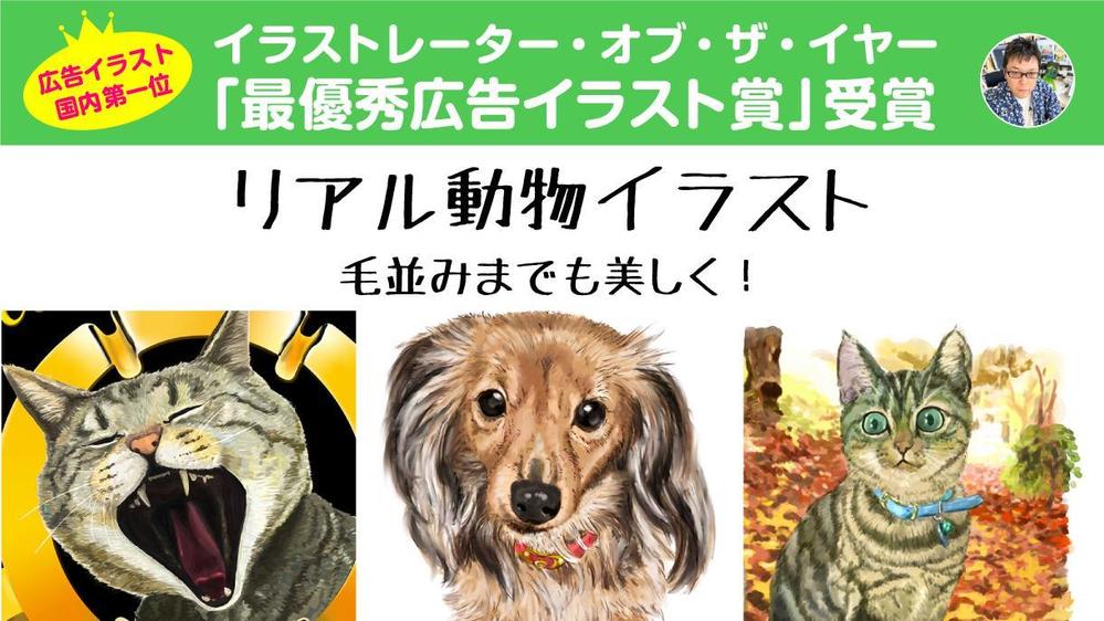 猫、犬、ペットなど、動物のイラストを毛並みまで美しく描きます