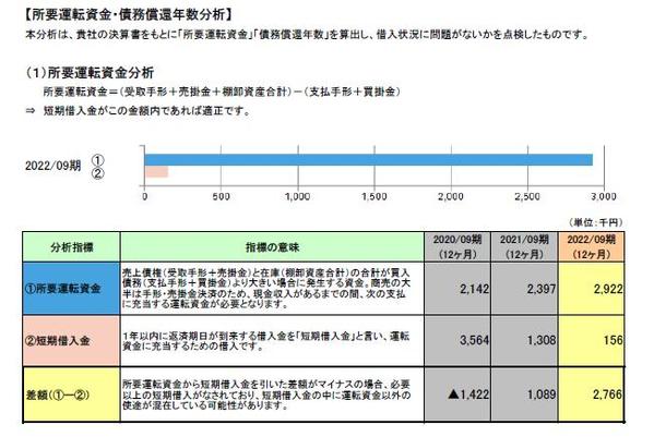 貴社やクライアントの経営診断報告書を作成し、会社の健康診断を行います