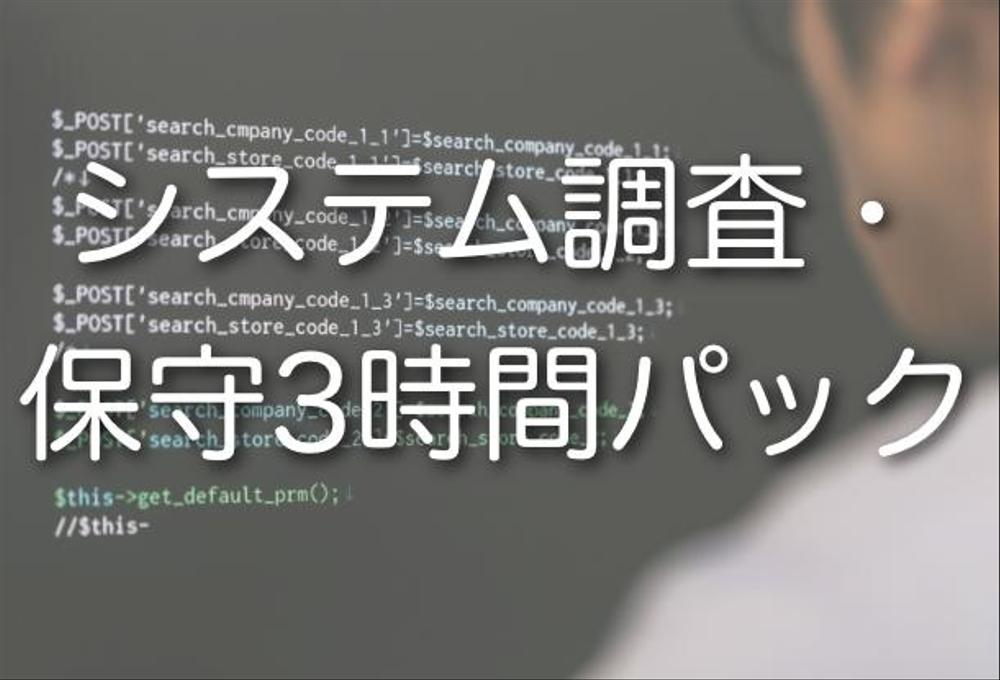 各種システム調査・保守サポート3時間パック