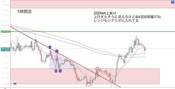 現役専業トレーダーがあなたの手法作成、手法リメイクをお助けします