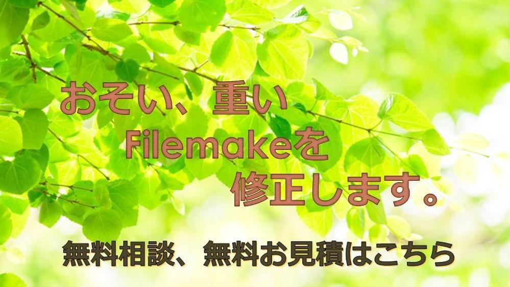 遅い、重い、Filemakerのファイルを修正いたします