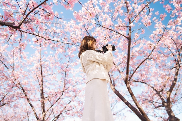 桜のポートレートムービーを撮影し、綺麗な映像で思い出に残します