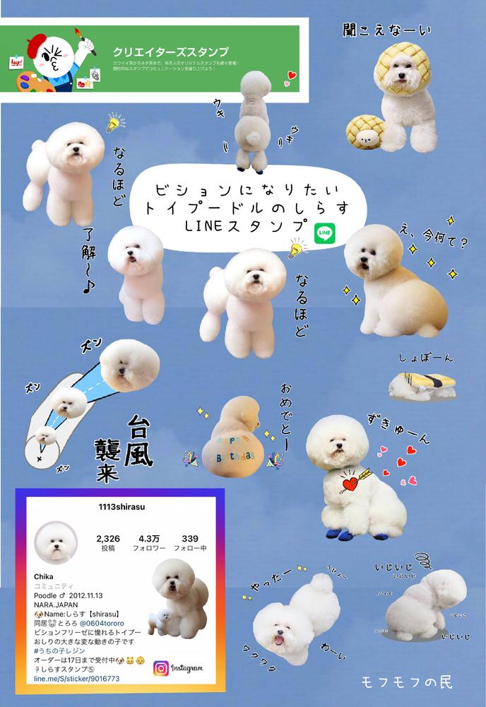 LINEスタンプ 我が子 ペット うちの子スタンプ - その他