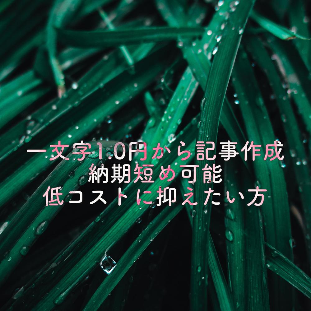 web記事作成文字単価1.0円から安くかつ丁寧な記事作成が出来ます