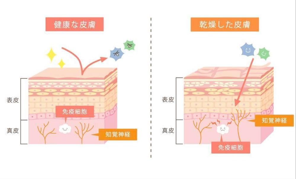 【デザイナーが作る図解！医療系イラスト】見る人に分かりやすいイラストを作成します