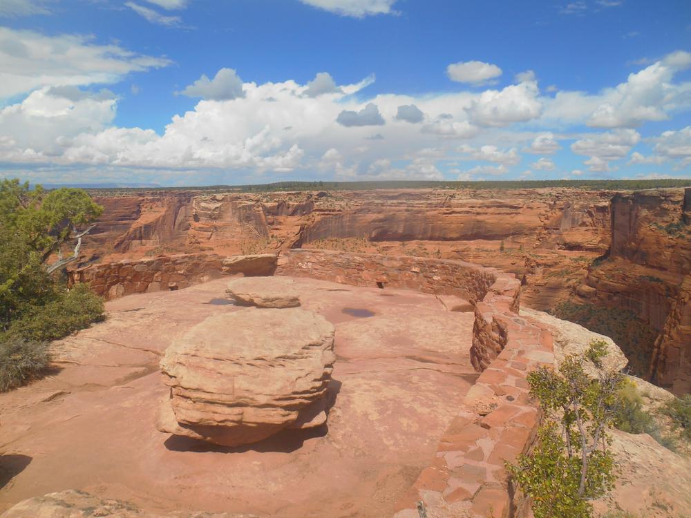 アメリカ現地にてご希望の写真撮影して☆加工もいたします