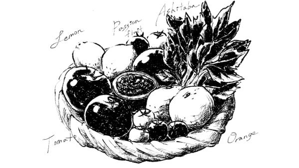 リアルタッチの美味しそうな食べ物の線画イラストを作成します
