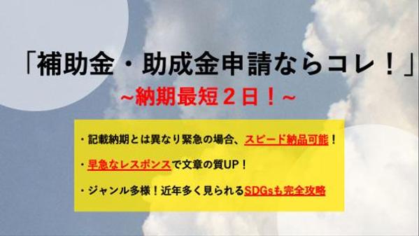 助成金・補助金申請のレポート作成を承ります