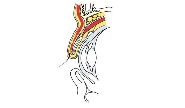 医療用ホームページ、ブログ、論文用の記事、イラスト作成を行います。ます