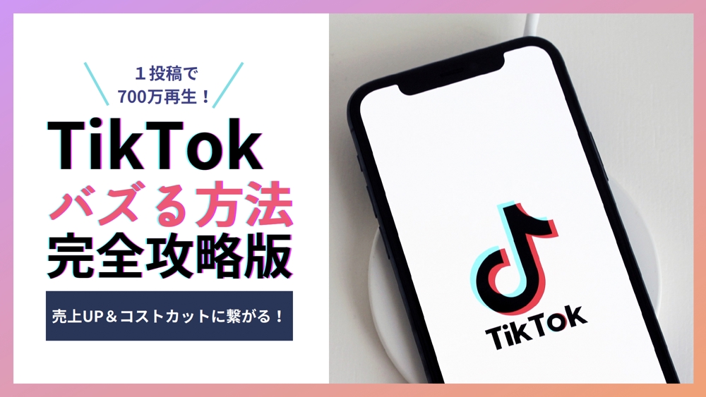 【TikTok1000万再生】上級SNSエキスパートが柔軟に運用サポートします