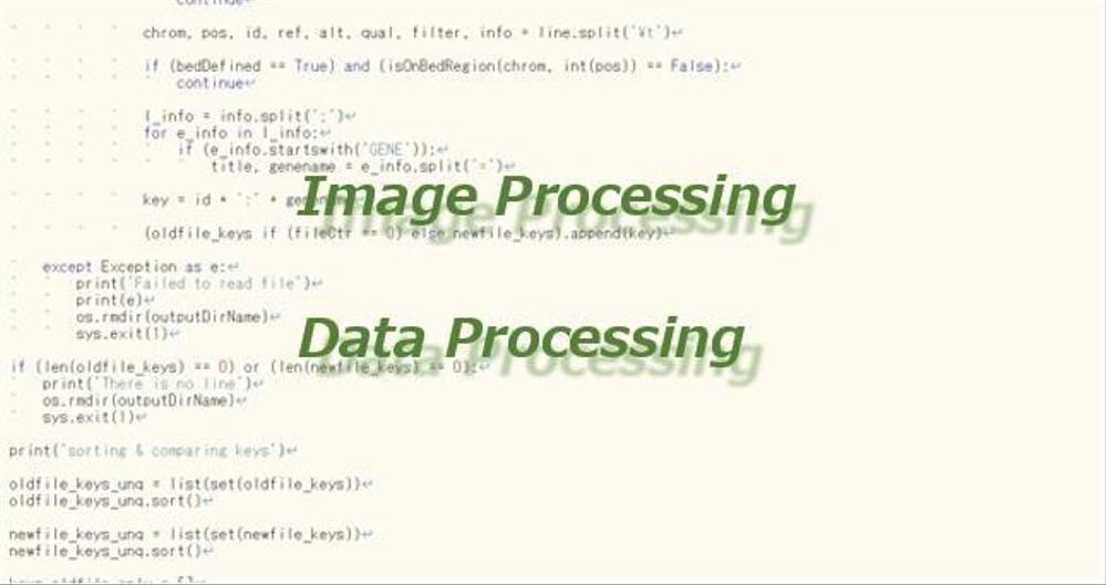 C++/Java/Pythonによる画像処理・データ分析プログラム作成します