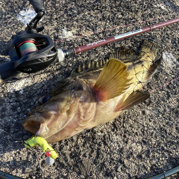 元釣具屋店員で、現アドバイザーが魚釣り関係の記事執筆致します