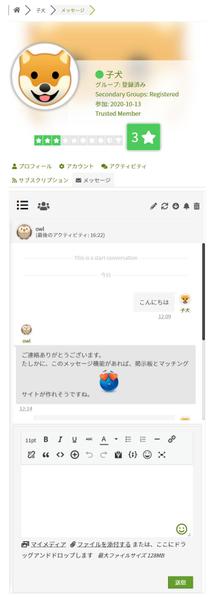 掲示板とチャットでマッチングビジネスを提供します