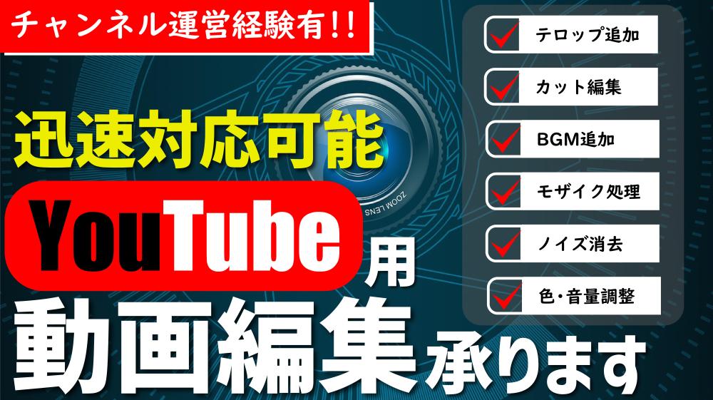 迅速対応可!!チャンネル運営経験有がYoutube用動画編集します - ランサーズ