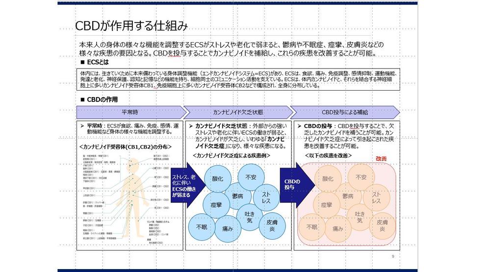 17時受付/翌朝10時納品で明日必要な提案書・営業資料パワポ資料作成します