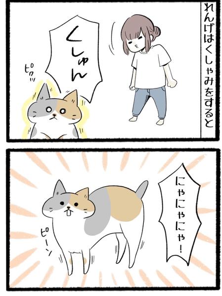 かわいくシンプルな分かりやすいイラストで４コマ漫画を制作します