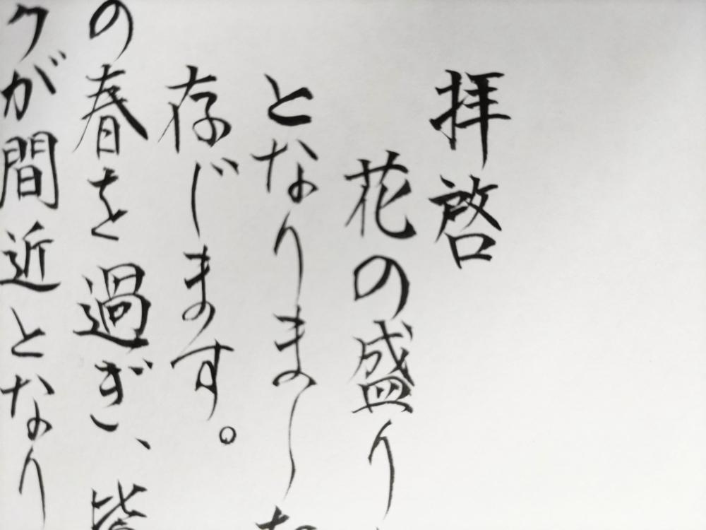 挨拶状など祝辞・弔辞オリジナル原稿毛筆(約1000文字)
承ります