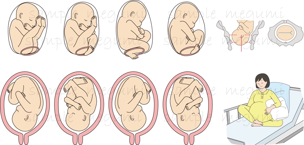 妊婦さん、マタニティ、赤ちゃん、出産関係のイラスト製作いたします