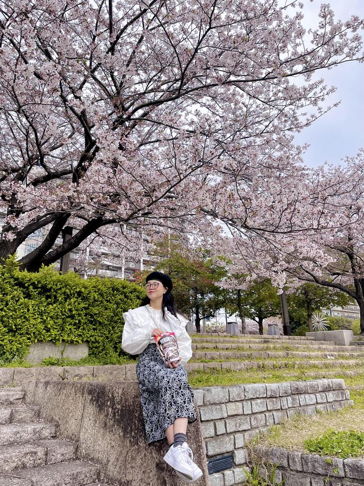 Anmi (アンちゃん） ベトナム語・日本語・英語翻訳ます