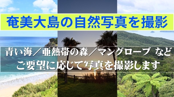世界自然遺産に登録された奄美大島の自然を撮影、写真を提供します